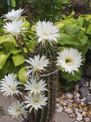 Similar image 21326150