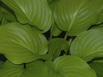 Similar image 21326152