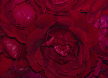 Similar image 21326153