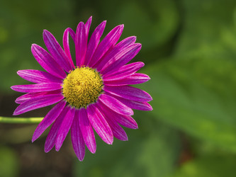 Similar image 21326155