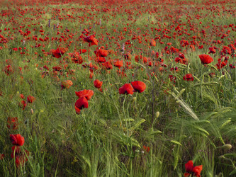 Similar image 21326157