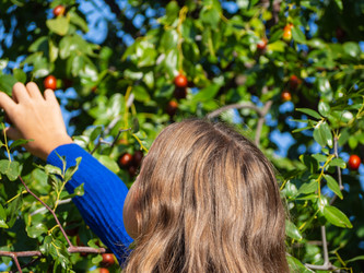 Similar image 21326163