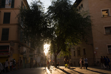 Similar image 21327081