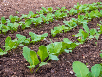 Similar image 21326164