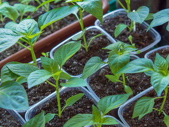 Similar image 21326165