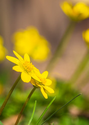 Similar image 21326166