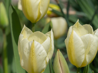 Similar image 21326167