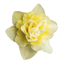 Similar image 21326169