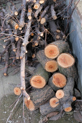 Similar image 21326920