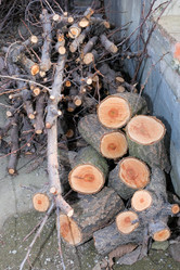 Similar image 21326921