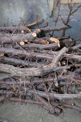 Similar image 21326922