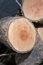 Similar image 21326923