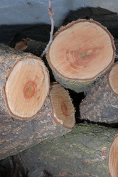 Similar image 21326924