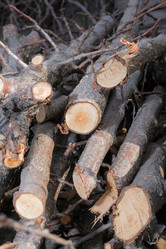 Similar image 21326925