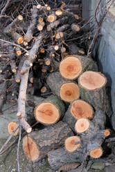 Similar image 21326926