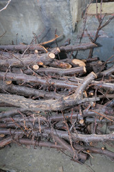 Similar image 21326927