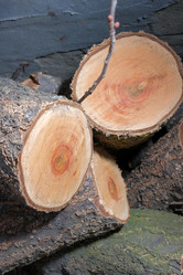 Similar image 21326928