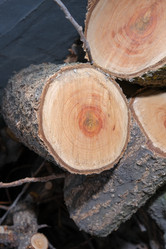 Similar image 21326981