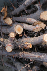 Similar image 21326982