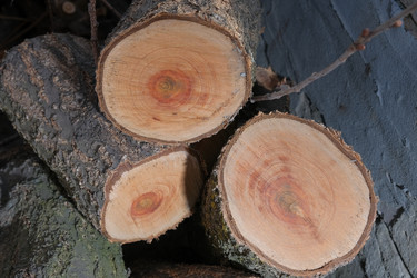 Similar image 21326983