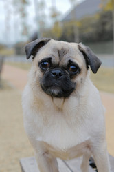 Similar image 21326987