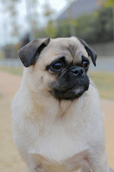 Similar image 21326988