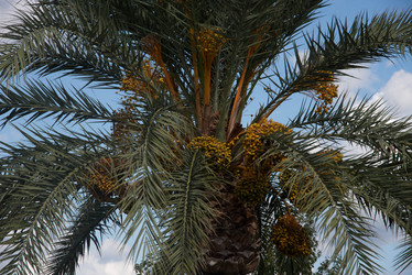 Similar image 21327084