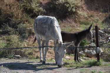 Similar image 21327085