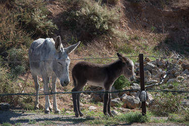 Similar image 21327086