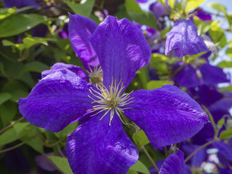 Similar image 21326358