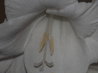 Similar image 21326359