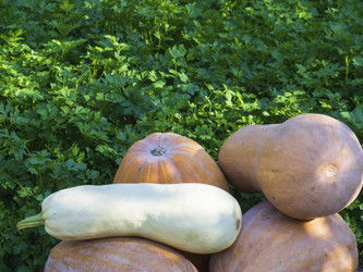 Similar image 21326360