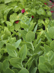 Similar image 21326361