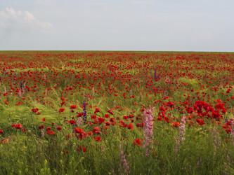 Similar image 21326369