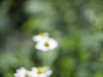 Similar image 21326370