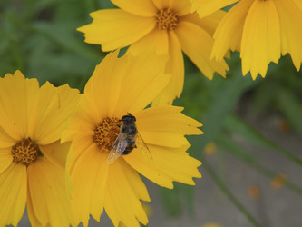 Similar image 21326373