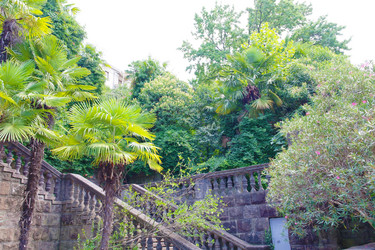 Similar image 21326884