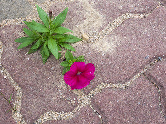 Similar image 21326808