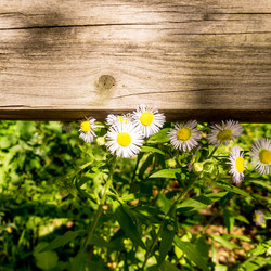 Similar image 21326810