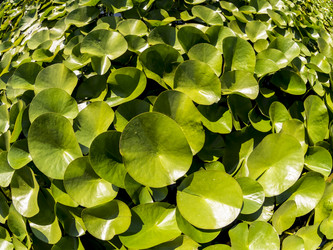 Similar image 21326812