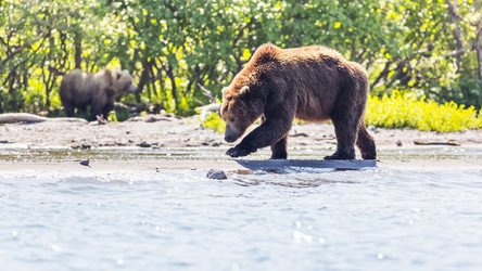 Similar image 21326818