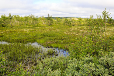 Similar image 21326822