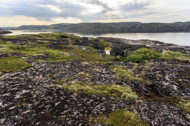 Similar image 21326823