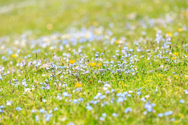 Similar image 21326833