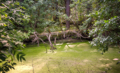 Similar image 21326730