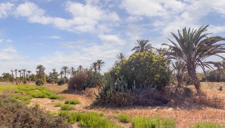 Similar image 21326746