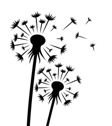 Similar image 21326762