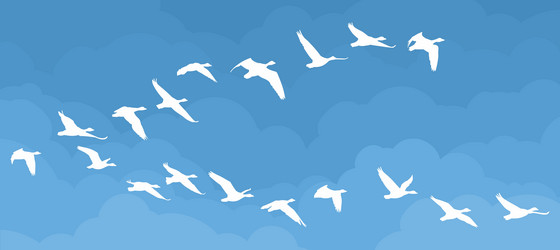 Similar image 21326768