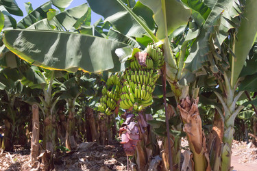 Similar image 21326773