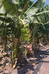 Similar image 21326774